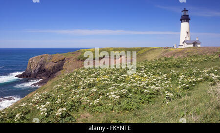 Il Yaquina lighthouse sulla bellissima Oregon Coast a Newport in una bella giornata di primavera con un luminoso giallo senape e bianco y Foto Stock