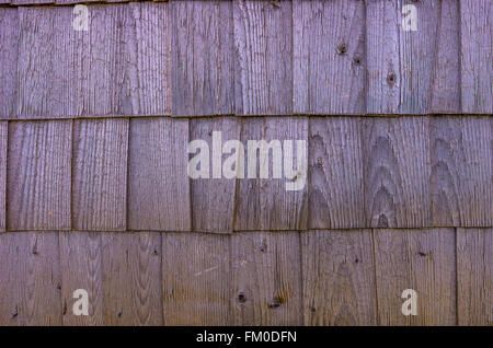 SCANDOLE IN LEGNO Foto Stock