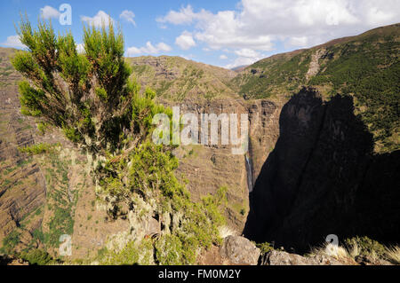 Piccola cascata (Jinbar cade) all'Abisso Geech nella stagione secca, Simien Mountains National Park, Amhara Region, Etiopia Foto Stock