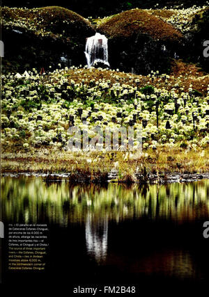 *Ecuador - Cabeceras Cofanes-Chingual* (2009) documenta la biodiversità della regione Cofanes-Chingual in Ecuador. Questo lavoro fornisce una panoramica della flora e della fauna locali, evidenziando le specie uniche dell'ecosistema della regione. Foto Stock
