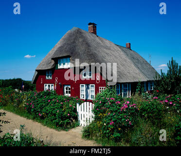 Nebel, tetto di paglia tradizionali casa frisone, Amrum island, Mare del Nord, Schleswig-Holstein, Germania, Europa Foto Stock