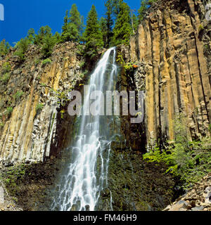 Palizzata cade debordi basalto colonnare in oriente forcella hyalite bacino del torrente vicino a Bozeman, Montana Foto Stock