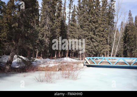 Icy creek nel villaggio Waiparous area in Alberta Foto Stock