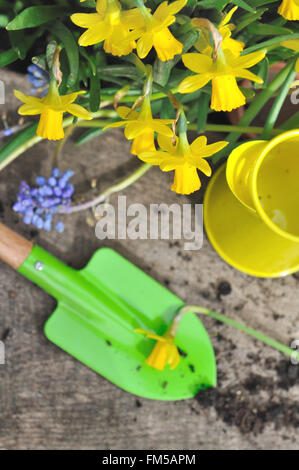 Colorata little utensili da giardinaggio con fiori di primavera su tavole di legno Foto Stock