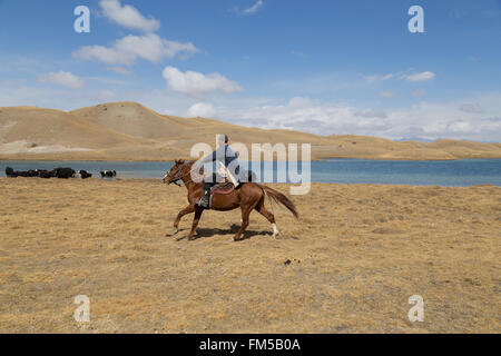 Lago Tulpar, Kirghizistan - Ottobre 07, 2014: fotografia di pastori di yak su cavalli. Foto Stock