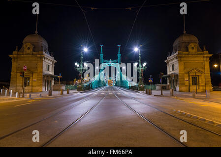 Ponte della Libertà di notte a Budapest Ungheria Foto Stock