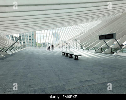 Il Liege-Guillemins stazione ferroviaria di Liegi, progettato da Santiago Calatrava. Foto Stock