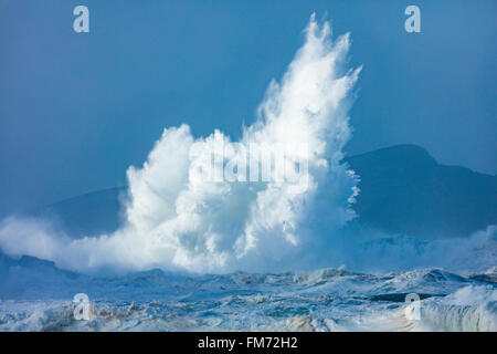 Tempesta di onde che si infrangono nei pressi di Clogher Head, penisola di Dingle, nella contea di Kerry, Irlanda. Foto Stock