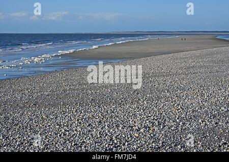 Francia, Somme, Baie de Somme, schiuma sulla spiaggia di ciottoli e sabbia di Pointe du Houdel Foto Stock