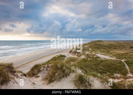 Danimarca, nello Jutland, Danese Riviera, Hvide Sande, dune costiere, crepuscolo Foto Stock