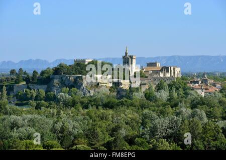 Francia, Vaucluse, vista su Avignone da Villeneuve lez Avignon Foto Stock