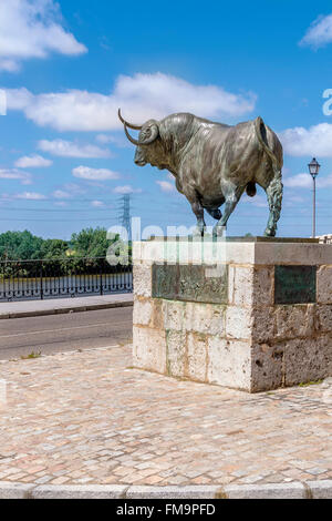 Statua di bronzo di Toro de la Vega, Tordesillas, Castilla y León, Spagna. Foto Stock