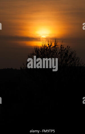 Londra, Regno Unito. 11 marzo, 2016. Regno Unito: Meteo caldo arancio tramonto su North London Credit: Dinendra Haria/Alamy Live News Foto Stock