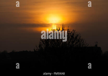 Londra, Regno Unito. 11 marzo, 2016. Regno Unito: Meteo caldo arancio tramonto su North London Credit: Dinendra Haria/Alamy Live News Foto Stock