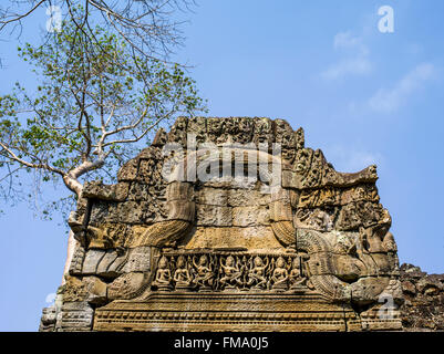 Preah Khan, talvolta traslitterato come Prah Khan, è un tempio di Angkor, Cambogia, costruito nel XII secolo per il re Jayavarma Foto Stock