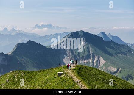 La Svizzera, nel Cantone di Friburgo, Gruyeres, il Moleson, 2002m, vertice emblematico di La Gruyeres, vista dalla sommità del Mont Foto Stock