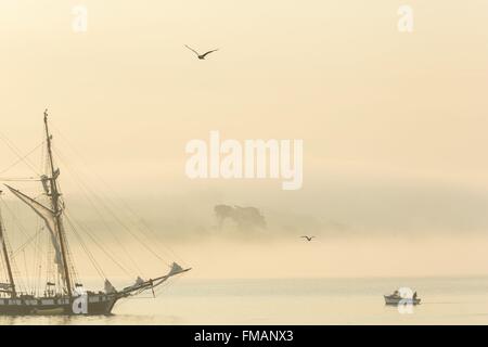 Francia, Finisterre, DOUARNENEZ, piccola pesca costiera imbarcazione di fronte ad un due-masted nave nella nebbia all'alba lungo la costa Foto Stock