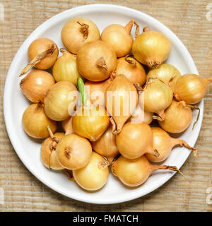 Onion onion si trova presso la piastra su un sfondo di legno. Foto Stock