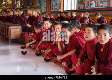 Il Nepal, zona di Bagmati, Nala, giovani monaci a bere caffè latte in Dhagpo Sheydrub Ling monastero buddista Foto Stock