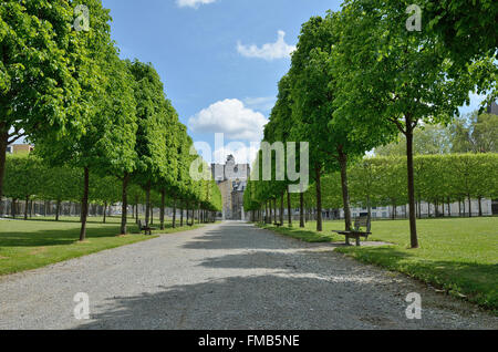 Francese giardino formale del Chateau de Pau Foto Stock