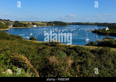 Francia, Finisterre, Lannilis, Prat Ar Coum e Saint Pabu nel Aber Benoit Foto Stock