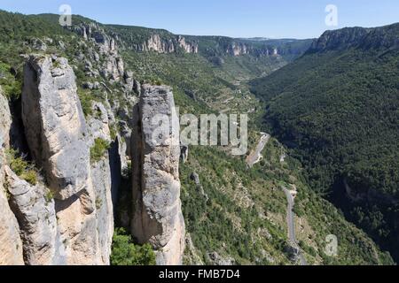 Francia, Lozère, Le Rozier, gole della Jonte vista dal Balcon du Vertige, Causses e Cévennes, Mediterraneo agro Foto Stock