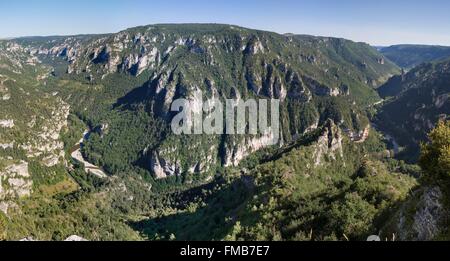 Francia, Lozère, Les Vignes, gole del Tarn, il punto sublime, Causses e Cévennes, Mediterraneo agro culturale pastorale Foto Stock