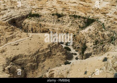 Israele Palestina, Cisgiordania ( controversi territorio), Juda il deserto della Giudea (), Wadi Qelt Foto Stock