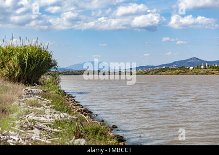 Llobregat fiume in Espais Naturals del Delta de Llobregat. El Prat de Llobregat,Catalogna,Spagna. Foto Stock