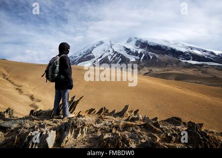 Cina, Xinjiang Uyghur Regione autonoma, Lago Karakul, trekker e la montagna Muztagh Ata (7546m) nei pressi del confine con la Foto Stock