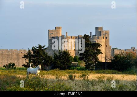 Francia, Gard, Aigues-Mortes, città medievale, bastioni e fortificazioni circondata la città, porta fortificata Foto Stock