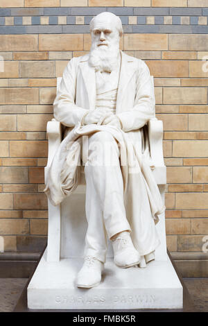 Charles Darwin statua in marmo bianco nel Museo di Storia Naturale di Londra Foto Stock