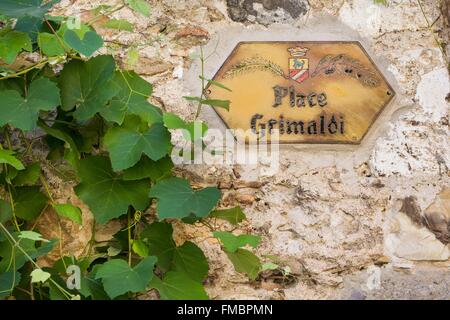 Francia, Alpes Maritimes, Cagnes sur Mer, Haut de Cagnes district, Grimaldi piazza davanti al XIV secolo chateau Grimaldi Foto Stock