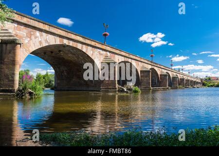 Francia, Allier, Moulins, vista dalla riva sinistra del fiume Allier, Regemortes bridge Foto Stock