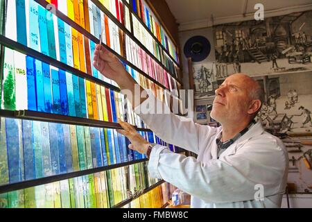 Francia, Eure et Loir, livelli, Les Ateliers Loire, Vetrate Workshop, colorazione Sunroom Foto Stock