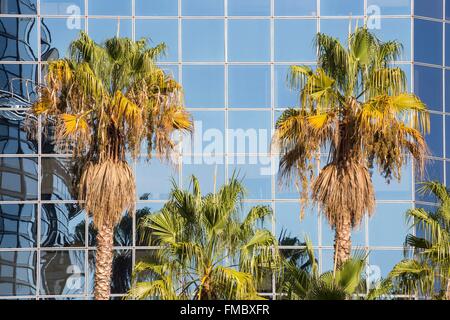Francia, Alpes Maritimes, Nizza, Arenas centro business e le palme in facciata di un edificio Foto Stock