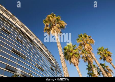 Francia, Alpes Maritimes, Nizza, Arenas centro business e le palme in facciata di un edificio Foto Stock
