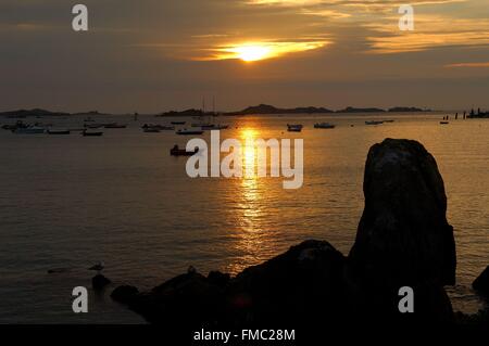 Francia, Manche, Isole Chausey, Normandia,Blainvillais Foto Stock