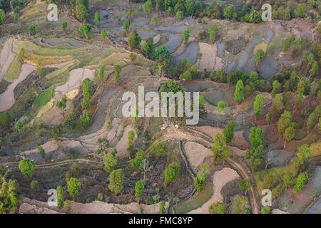 Il Nepal, Gandaki zona, Pokhara, terrazza campi (vista aerea) Foto Stock