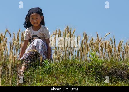 Il Nepal, zona di Bagmati, Chunikel, giovane ragazza prima di un campo di grano Foto Stock