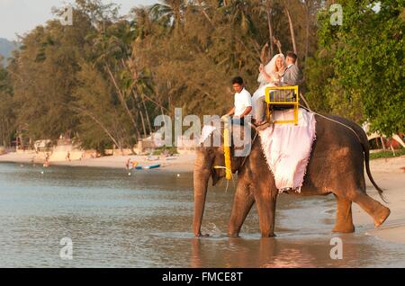 Thailandia Koh Samui, matrimonio per stranieri, nuoto nel mare con gli elefanti (Elephas maximus) Foto Stock