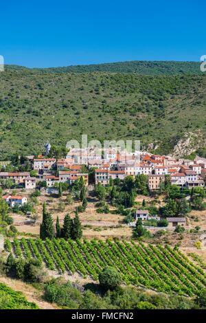 Francia, Aude, paese cathare, Cucugnan, nel cuore del vigneto di corbieres Foto Stock