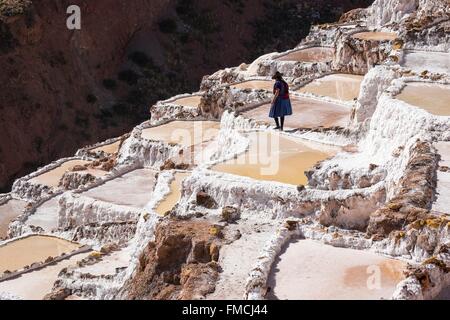 Perù Cusco Provincia, Inca Sacred Valley, Maras, barene in terrazza vicino Urubamba, sale dallo sfruttamento in montagna Foto Stock