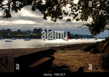 Francia, Finisterre, Lannilis, Saint Pabu rivolta Prat Ar Coum nel Aber Benoit Foto Stock