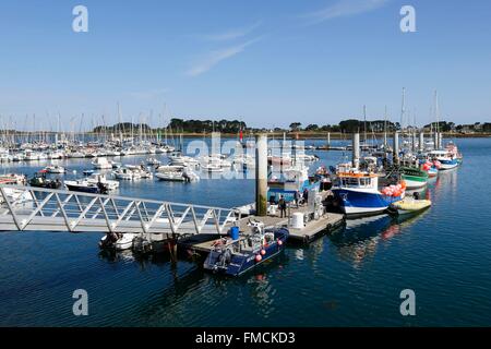 Francia, Finisterre, Pays des Abers, leggende Costa, Landeda, Aber Wrac'h, Porto Foto Stock