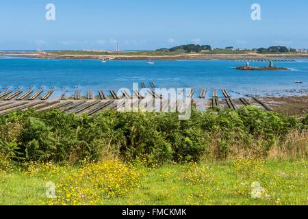 Francia, Finisterre, Pays des Abers, leggende Costa, Plouguerneau, bocca di Aber Wrach da Landeda, ostricoltura Foto Stock