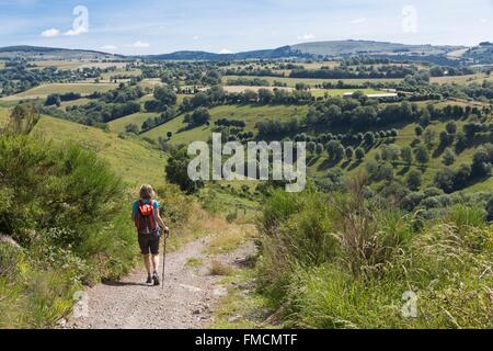 Francia, Aveyron, Laguiole, escursionista sull'altopiano di Aubrac Foto Stock