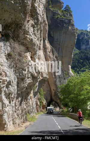 Francia, Lozère, Les Vignes, Gole del Tarn, la strada vicino alla Baumes, Causses e Cévennes, Mediterraneo agro pastorale Foto Stock