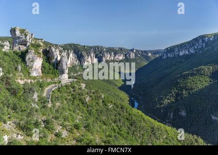 Francia, Lozère, Les Vignes, gole del Tarn, il canyon tra Les Vignes e Le Rozier, Causses e Cévennes, Foto Stock