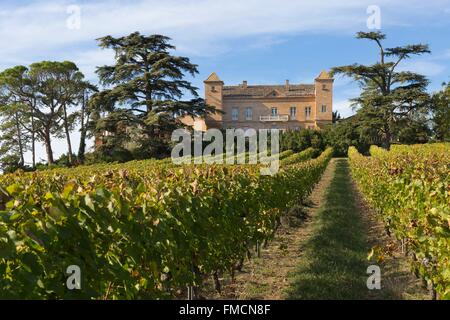 Francia, Tarn, Lisle sur tarn, chateau d'Escabes nel vigneto di Gaillac Foto Stock